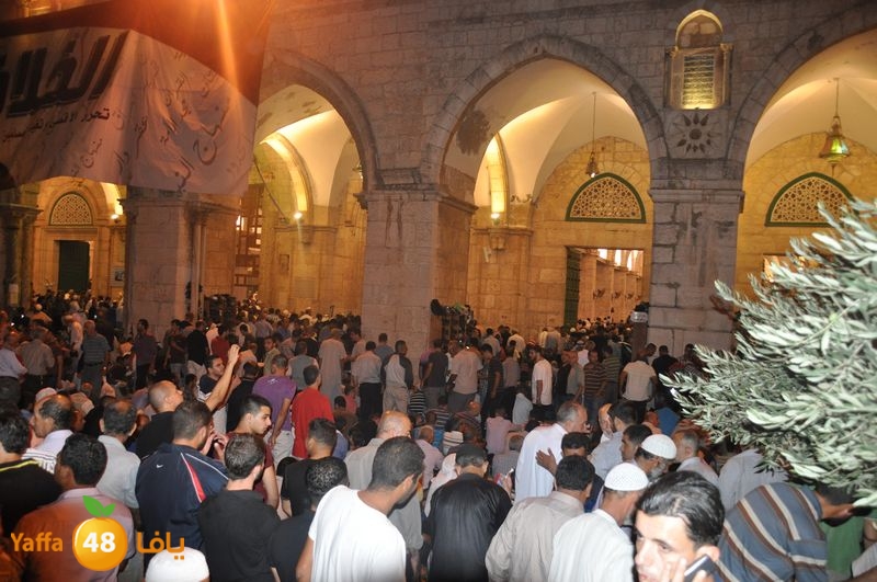 lud trawer7 aqsa 805 (10).JPG